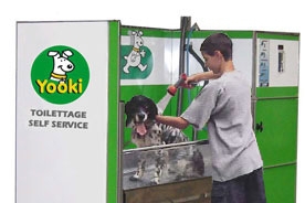 Station de lavage canin
